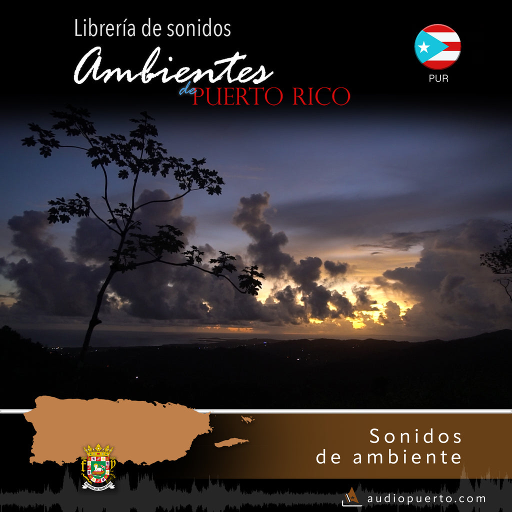 ADPR001 - Amanecer en El Yunque