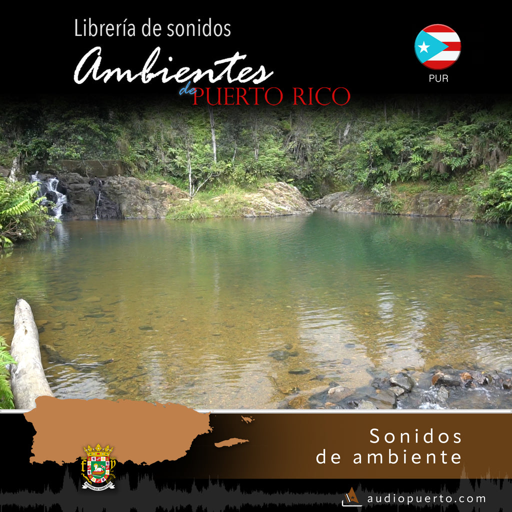 ADPR011 - Charco Azul, Patillas (tronando)