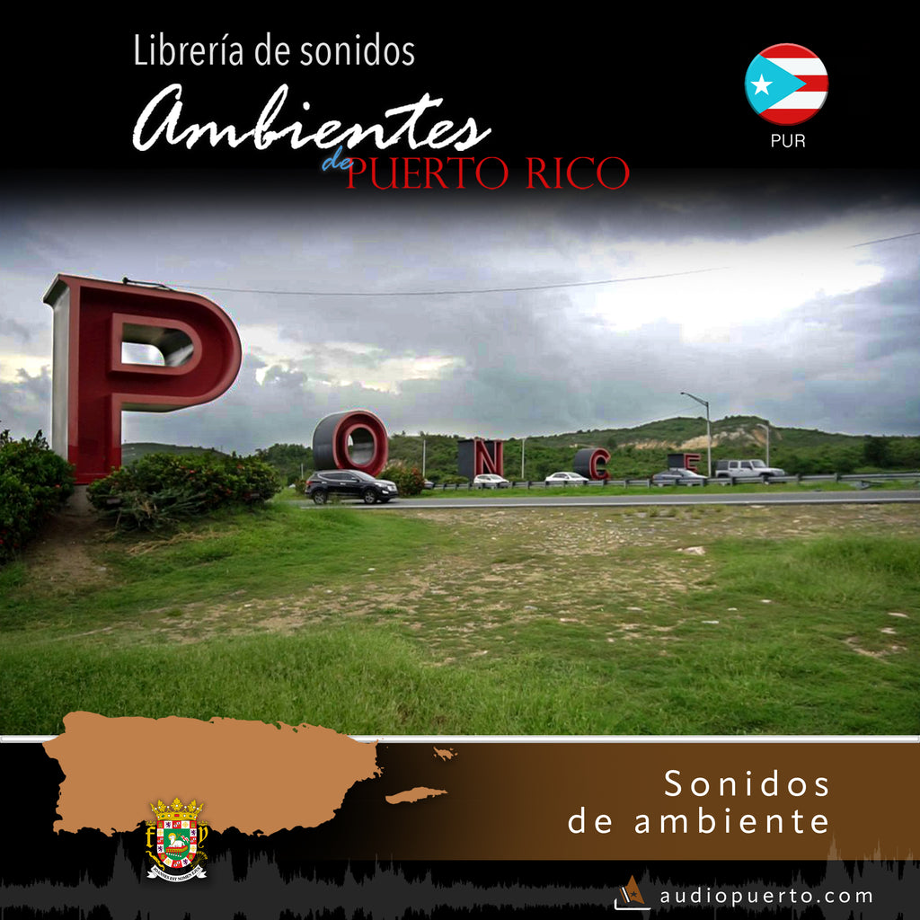 ADPR016 - Expreso #52, Ponce - Ambiente