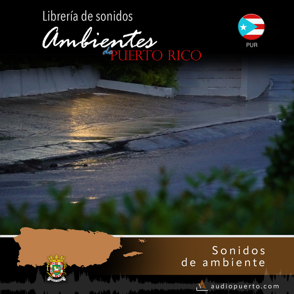 ADPR021 - Lluvia de tarde en San Juan