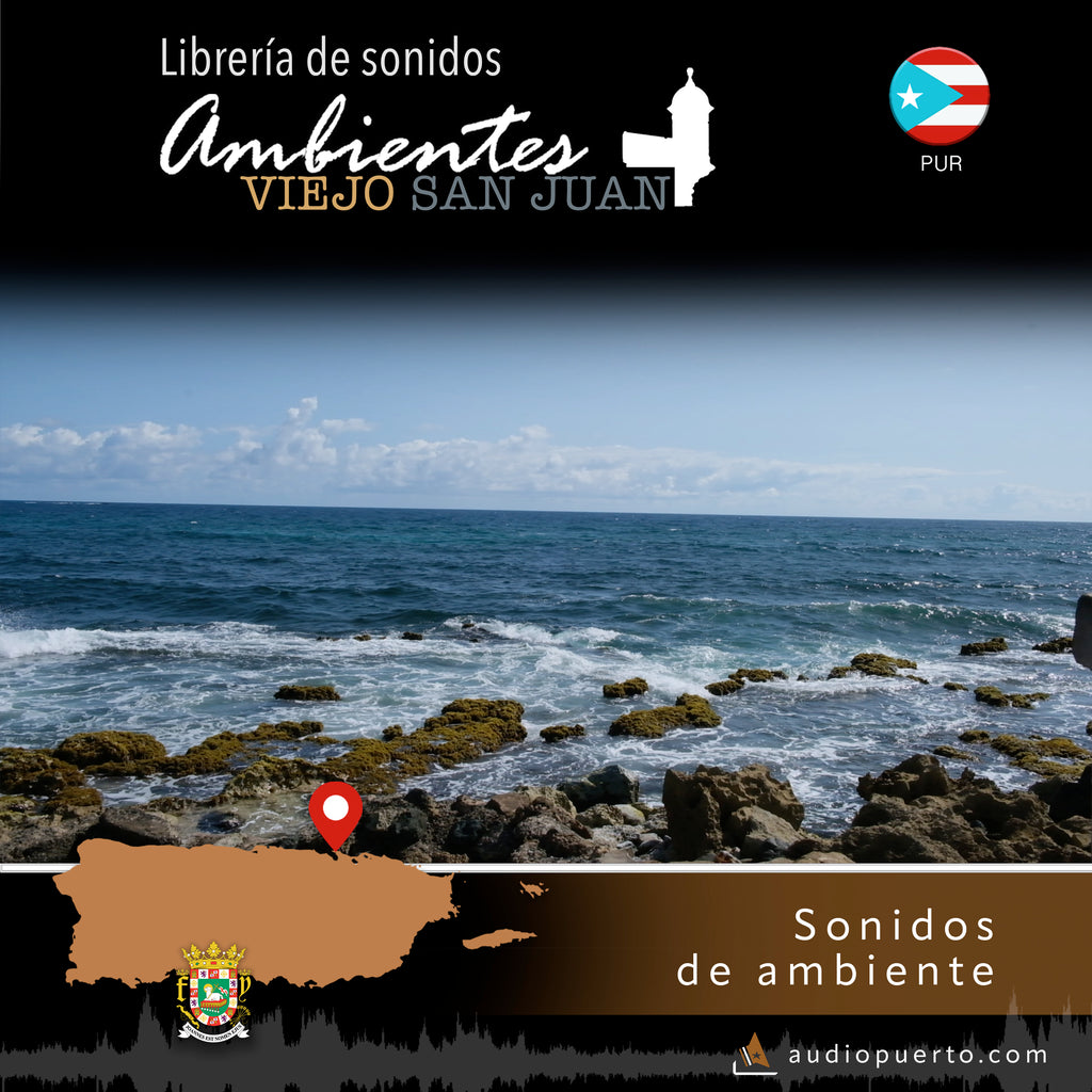 AVSJ006 - The Coast of La Perla, Old San Juan