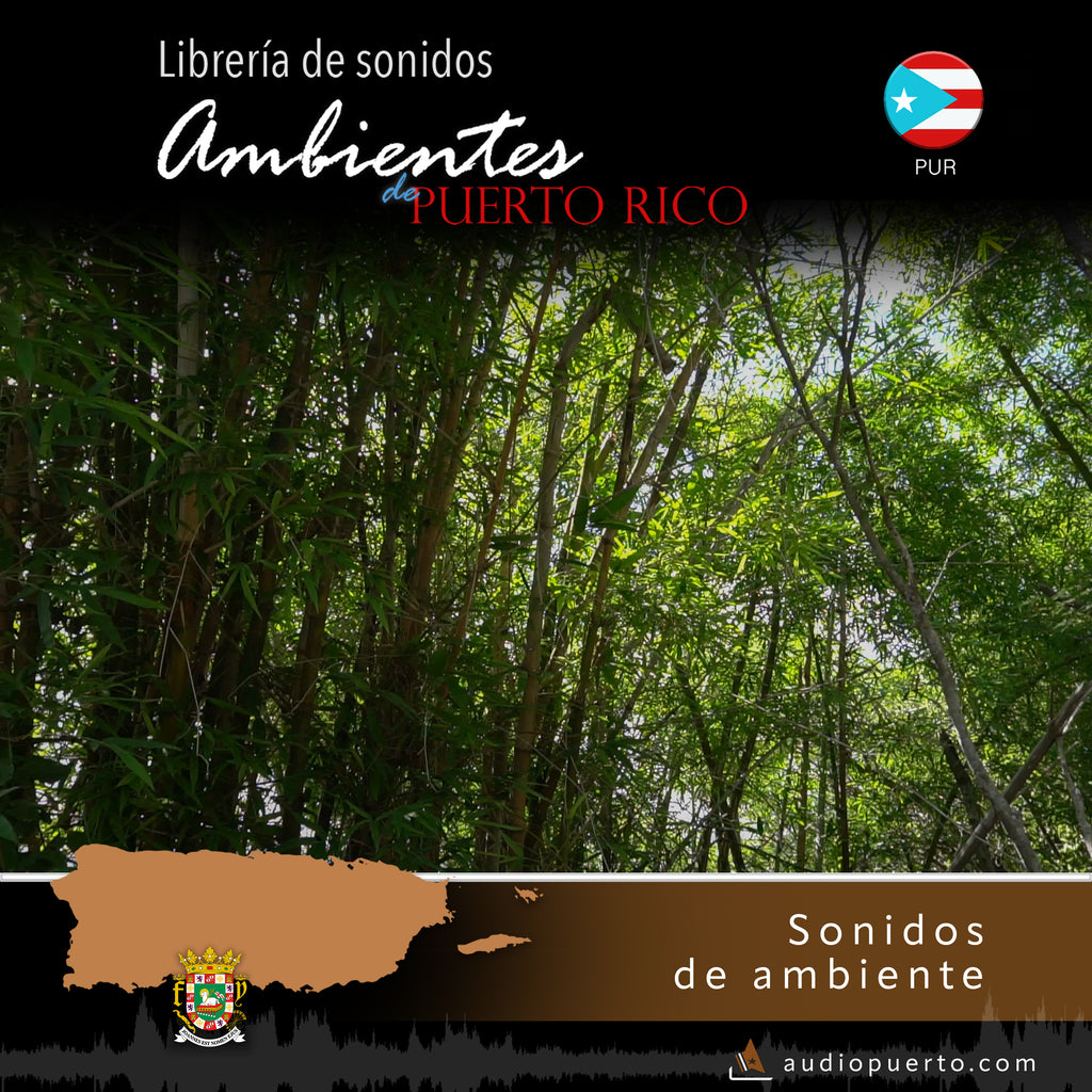 ADPR003 - Bambú en Bosque Seco de Guánica
