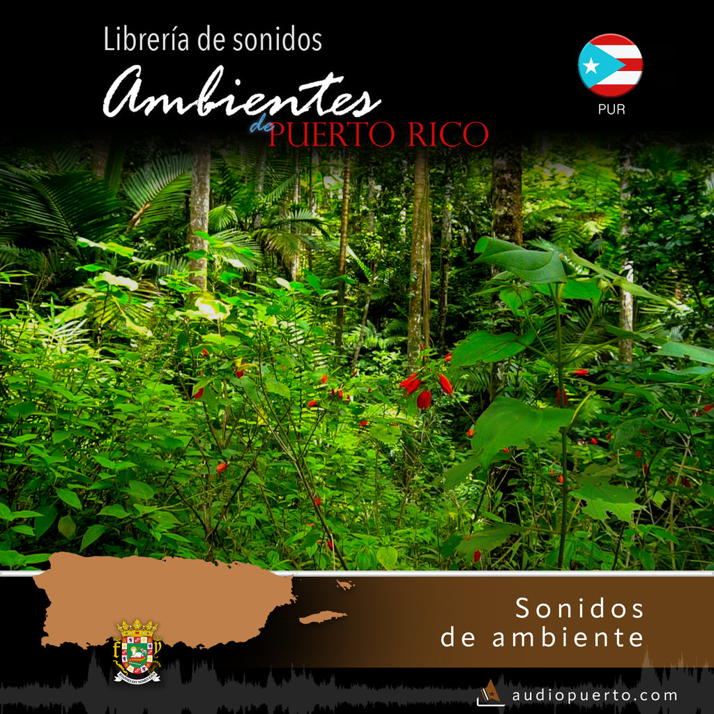 ADPR007 - Toro Negro State Forest, Ciales