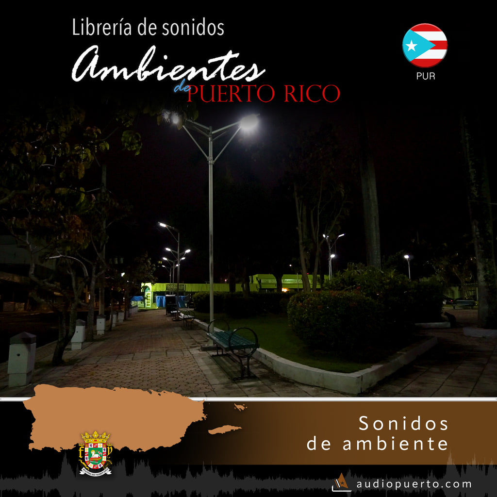 ADPR019 - Placita Roosevelt at night, San Juan