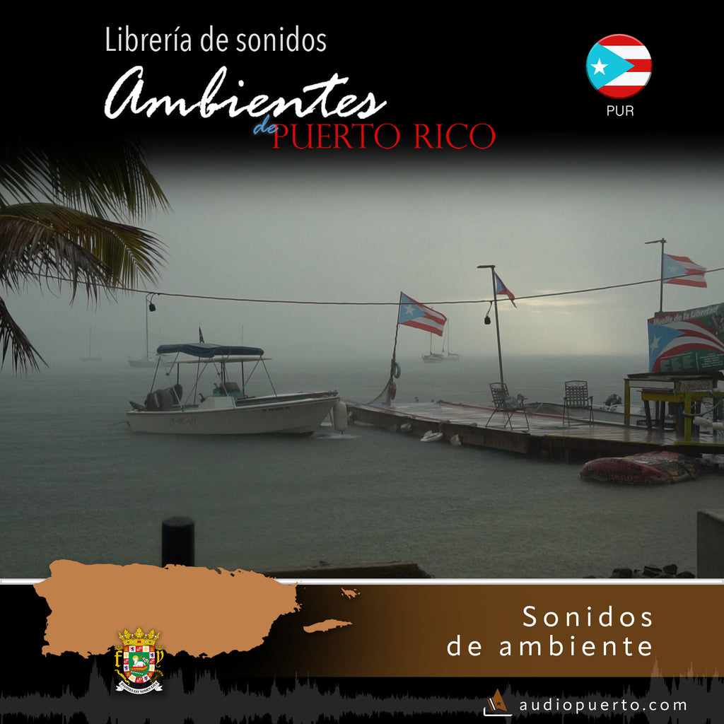 ADPR022 - Lluvia en Boquerón, Cabo Rojo - Ambiente