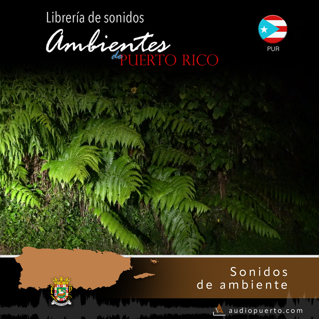 ADPR026 - Noche en El Yunque