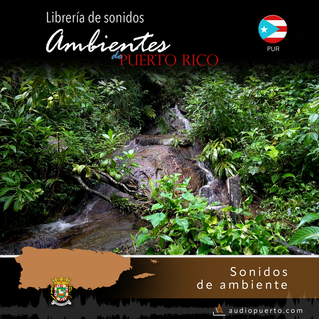 ADPR037 - Riachuelo en El Yunque