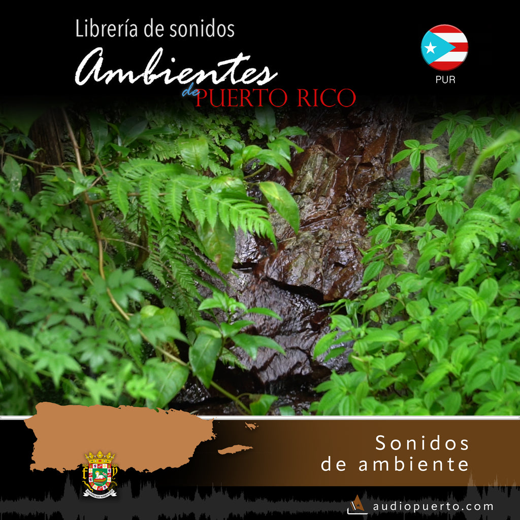 ADPR038 - Riachuelo, Bosque Toro Negro en Ciales