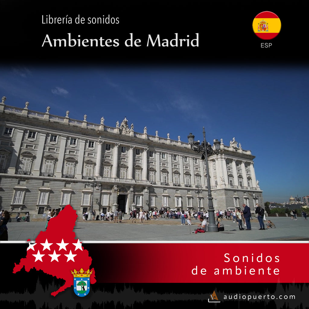AMAD016 - Palacio Real, Madrid, Cambio de guardia